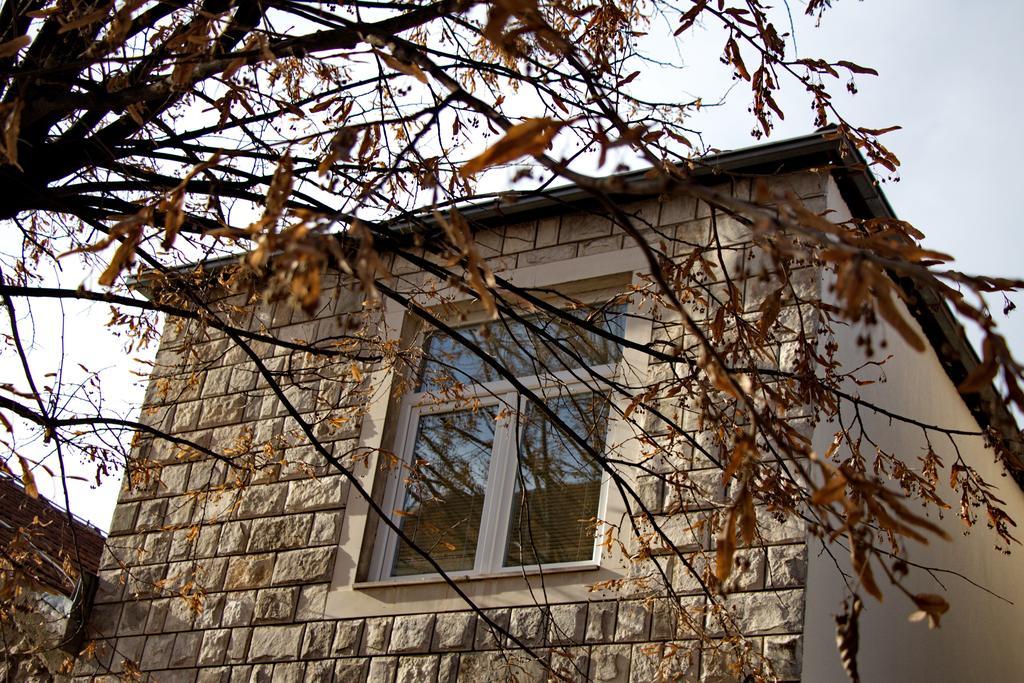 Apartments Matijasevic Nikšić Buitenkant foto